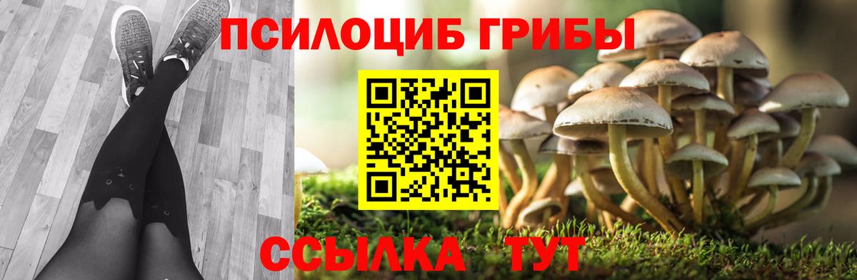 Дюртюли  Галлюциногенные грибы Cubensis  Вход с VPN  Галлюциногенные грибы Magic Shrooms 